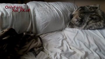 Axl_Fx  10-12-2021 video bigclit